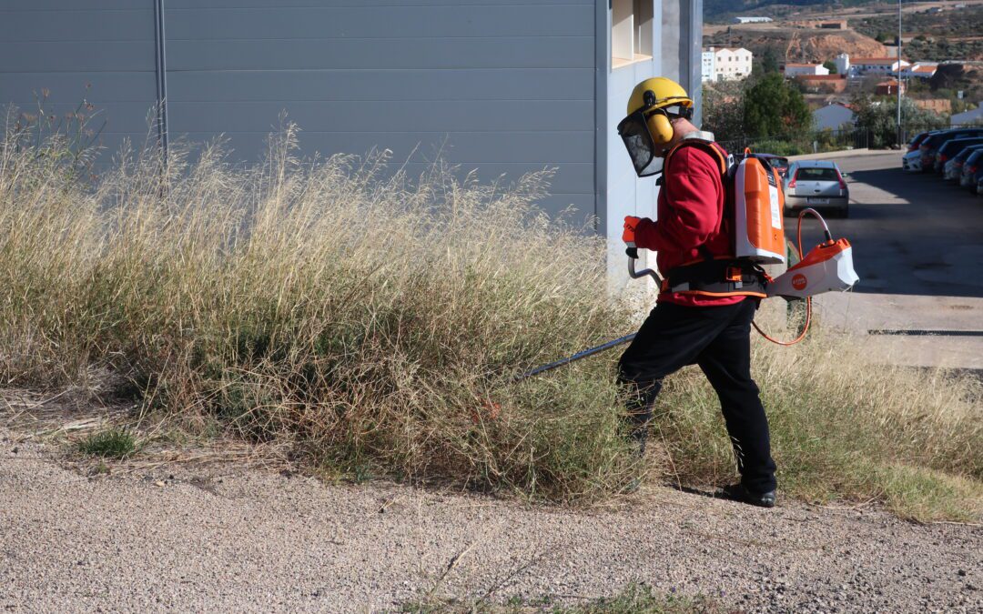 Hasta 48 usuarios de ATADI se forman en compostaje, jardinería y mantenimiento forestal