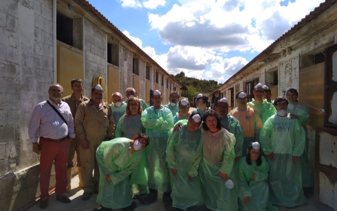 ATADI convierte el papel de periódico en camas de lechones