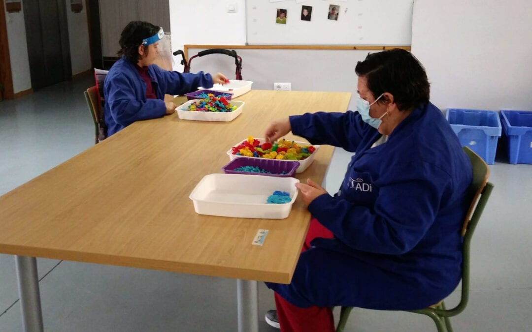 Hacia la ciudadanía plena de las personas con discapacidad intelectual