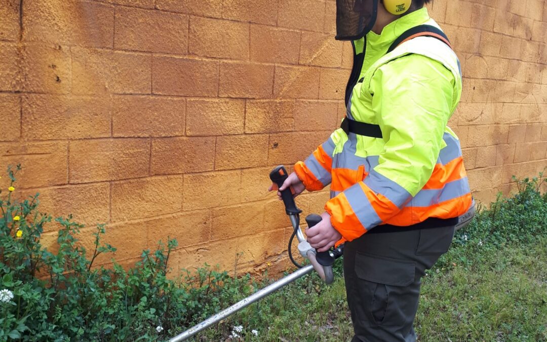 Atadi Empleo da trabajo a 66 personas, el 75 % con discapacidad