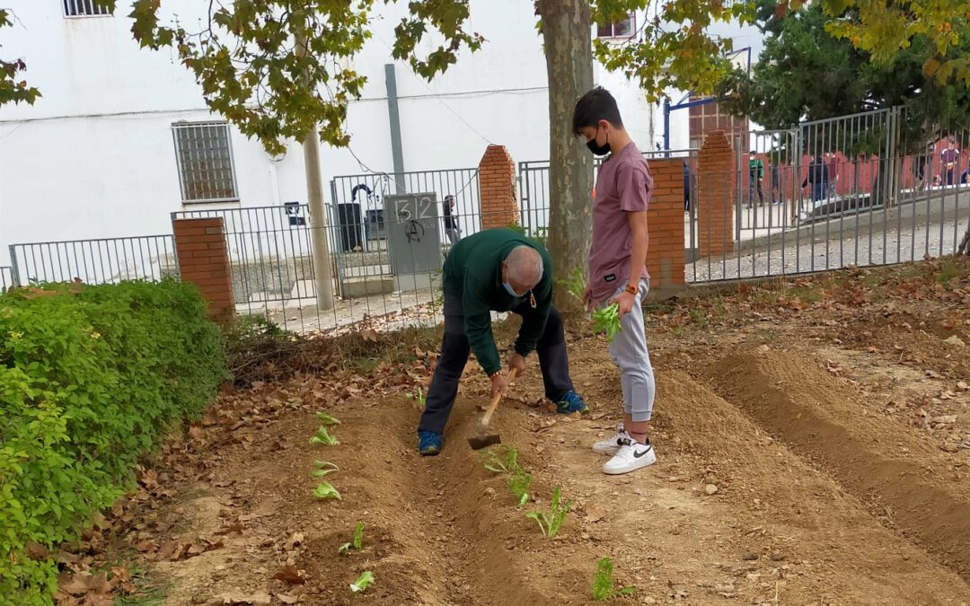 ATADI Andorra colabora con los centros educativos locales