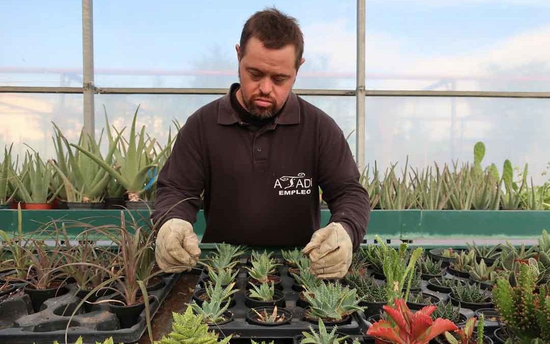 Relación de candidatos admitidos al Taller de Empleo ‘Cultivando primaveras de inserción’
